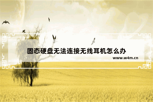 固态硬盘无法连接无线耳机怎么办