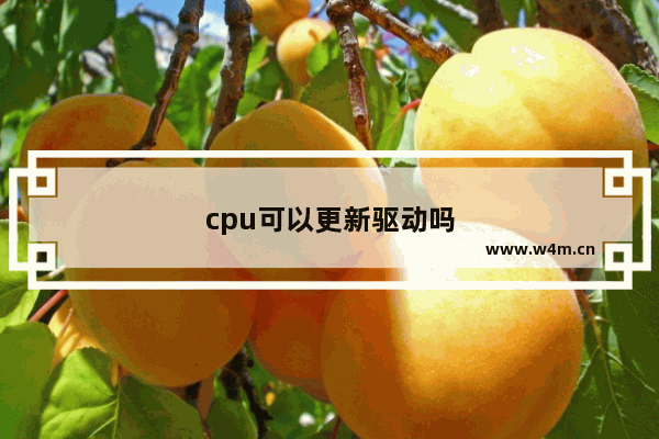 cpu可以更新驱动吗