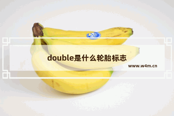 double是什么轮胎标志