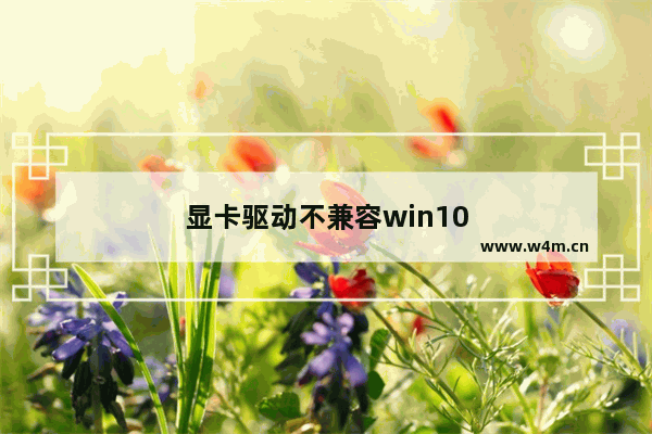 显卡驱动不兼容win10