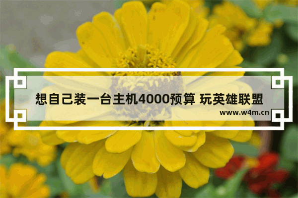 想自己装一台主机4000预算 玩英雄联盟的 想要配置高一点 求大神推荐