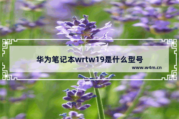 华为笔记本wrtw19是什么型号