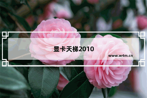 显卡天梯2010