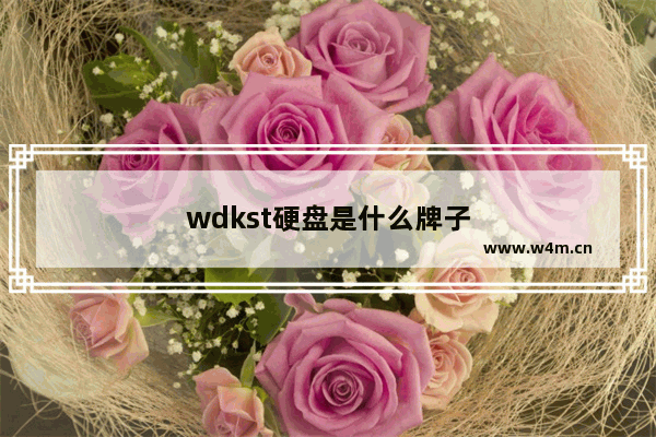 wdkst硬盘是什么牌子