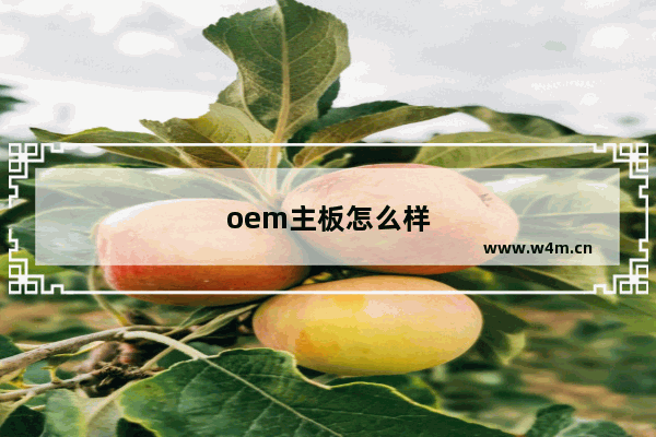 oem主板怎么样