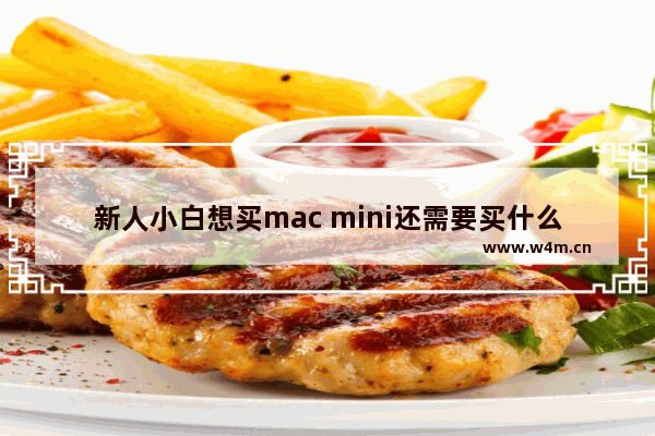 新人小白想买mac mini还需要买什么