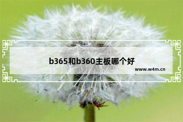 b365和b360主板哪个好