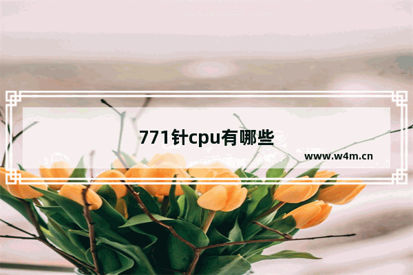 771针cpu有哪些