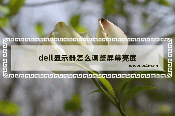 dell显示器怎么调整屏幕亮度