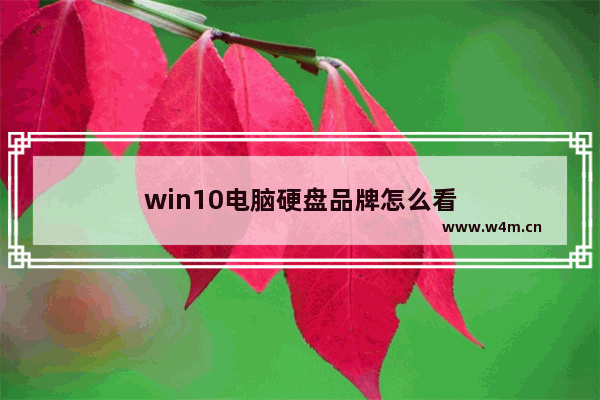 win10电脑硬盘品牌怎么看