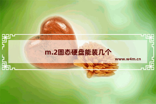 m.2固态硬盘能装几个