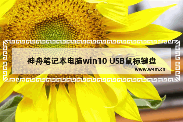 神舟笔记本电脑win10 USB鼠标键盘不能用