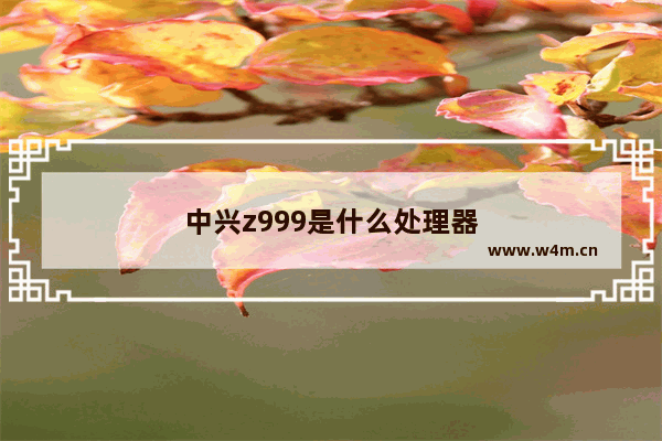 中兴z999是什么处理器