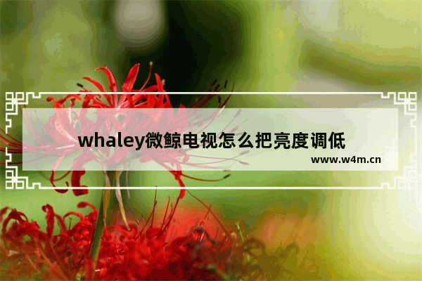 whaley微鲸电视怎么把亮度调低