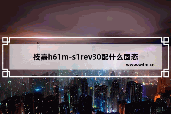 技嘉h61m-s1rev30配什么固态