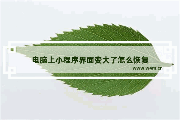 电脑上小程序界面变大了怎么恢复