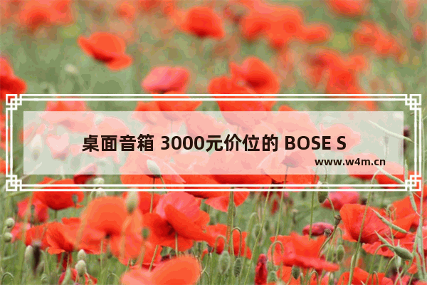 桌面音箱 3000元价位的 BOSE SONY JBL 惠威各位大佬推荐什么牌子的