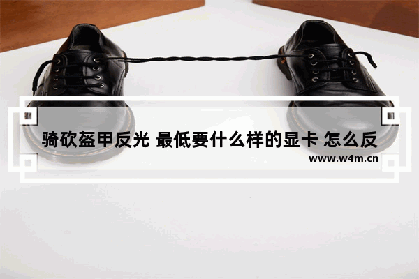 骑砍盔甲反光 最低要什么样的显卡 怎么反光