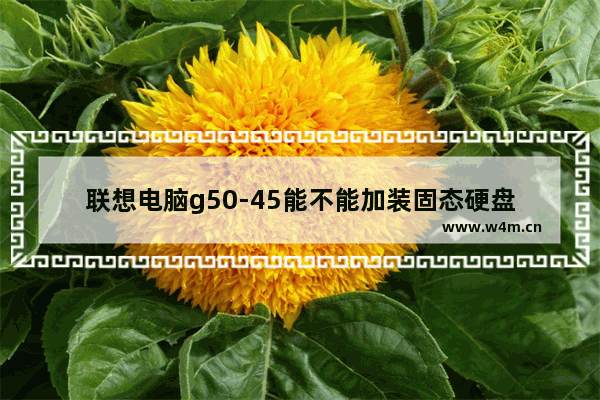 联想电脑g50-45能不能加装固态硬盘