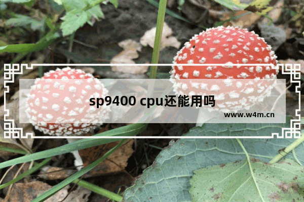 sp9400 cpu还能用吗