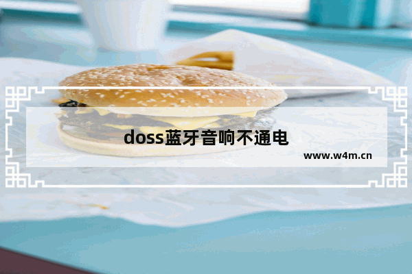 doss蓝牙音响不通电