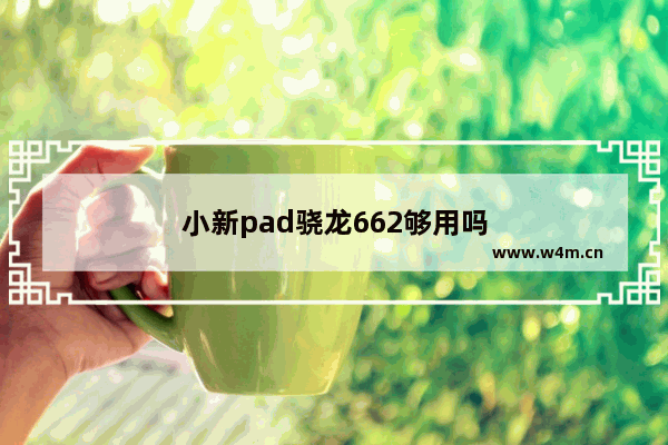 小新pad骁龙662够用吗