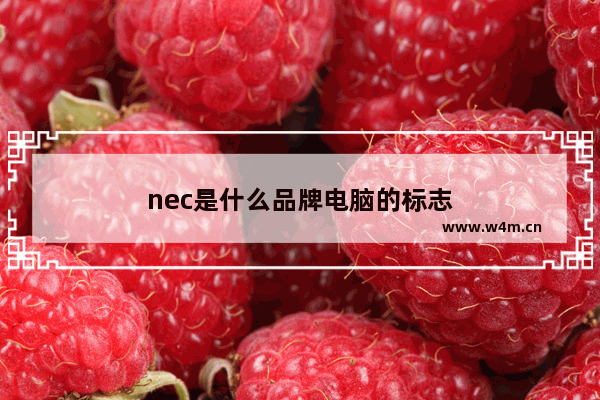 nec是什么品牌电脑的标志