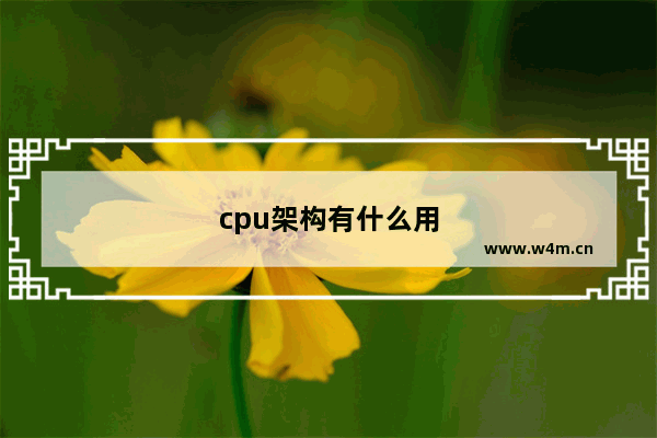 cpu架构有什么用