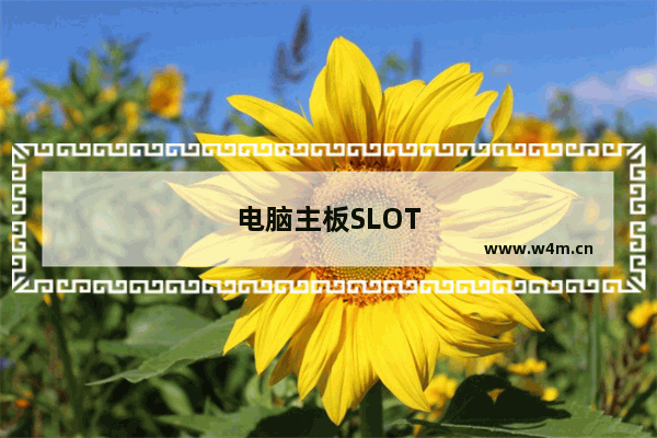 电脑主板SLOT