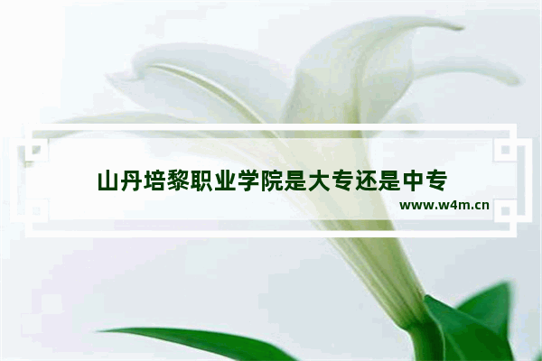 山丹培黎职业学院是大专还是中专