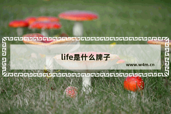 life是什么牌子