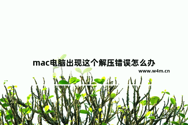 mac电脑出现这个解压错误怎么办