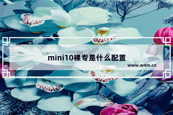 mini10裸专是什么配置