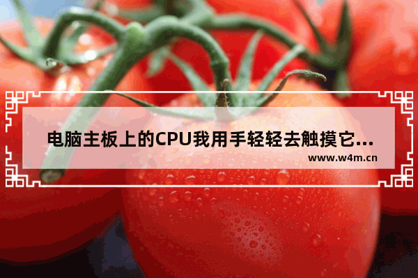 电脑主板上的CPU我用手轻轻去触摸它会损害吗