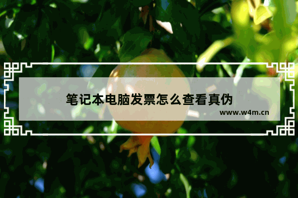 笔记本电脑发票怎么查看真伪