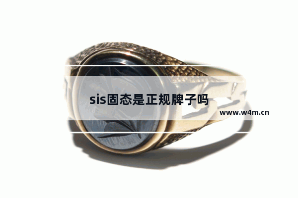 sis固态是正规牌子吗