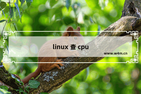 linux 查 cpu