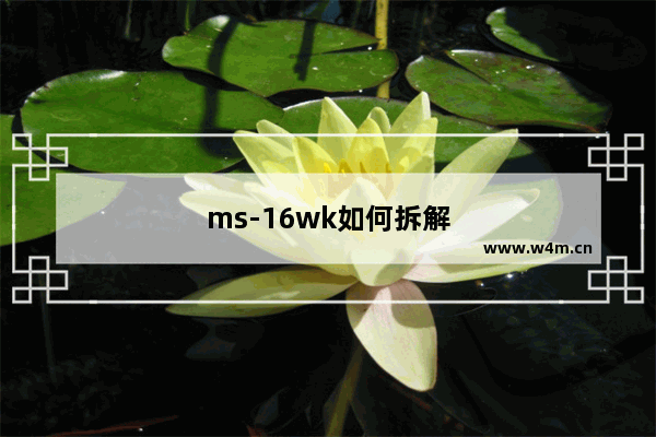 ms-16wk如何拆解