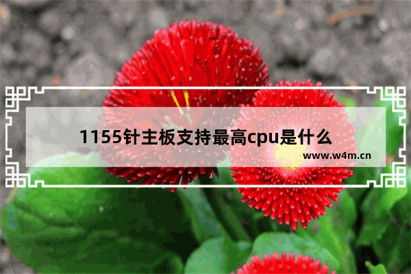 1155针主板支持最高cpu是什么