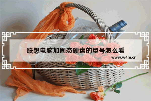 联想电脑加固态硬盘的型号怎么看