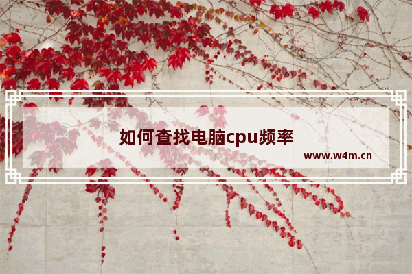 如何查找电脑cpu频率