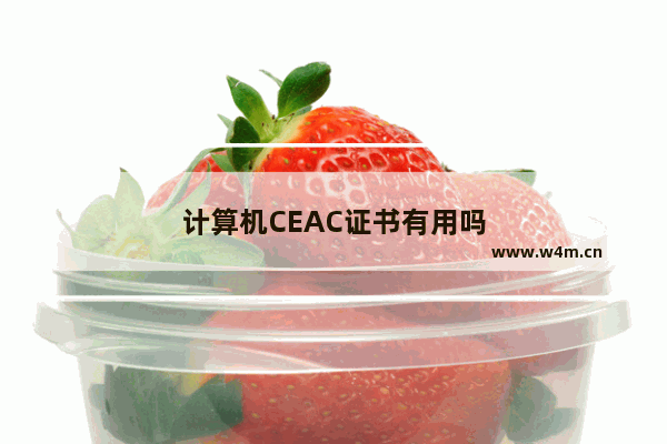 计算机CEAC证书有用吗