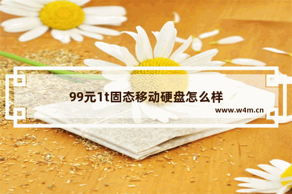 99元1t固态移动硬盘怎么样