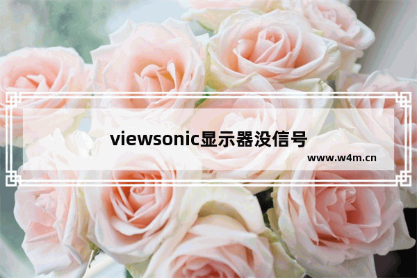 viewsonic显示器没信号