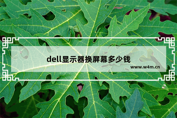 dell显示器换屏幕多少钱