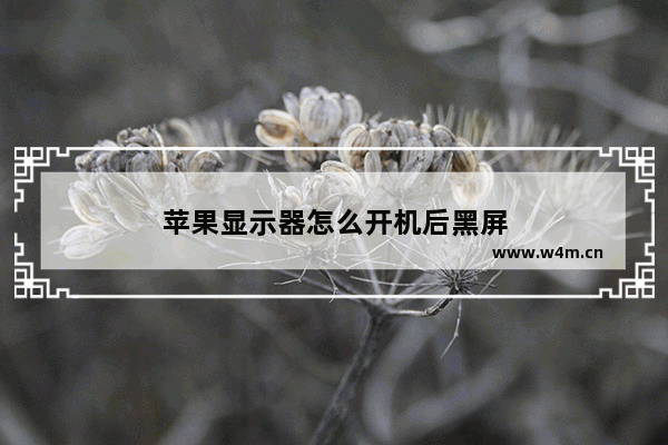 苹果显示器怎么开机后黑屏