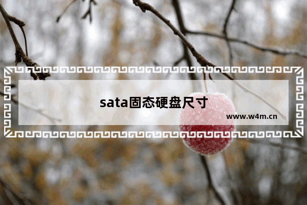 sata固态硬盘尺寸