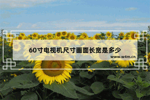 60寸电视机尺寸画面长宽是多少