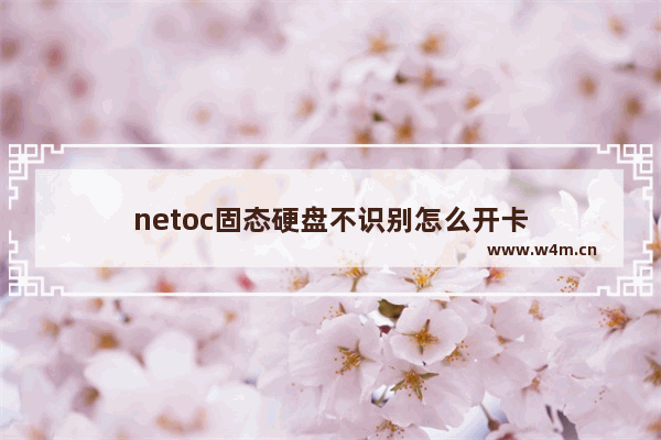 netoc固态硬盘不识别怎么开卡