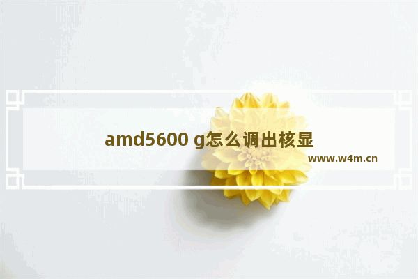 amd5600 g怎么调出核显